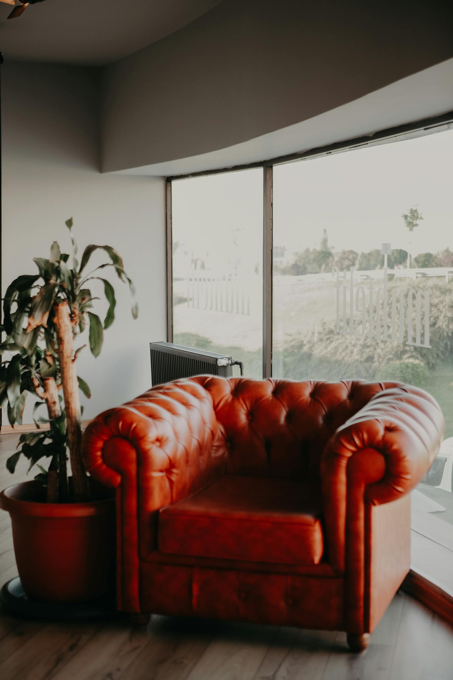 Luxurious tufted leather sofa / chair