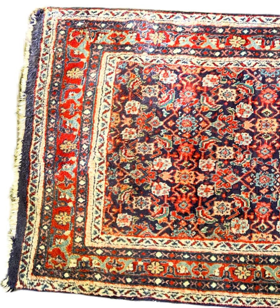 Beautiful Persian Rug - Runner (3' X 10.5')